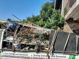 Professional Junk Removal Services in Hodgkins, IL